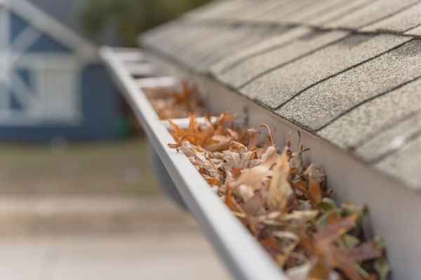 Leaf Barrier Installation in Lilburn